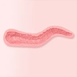 T2 – 15cm (5.9″)